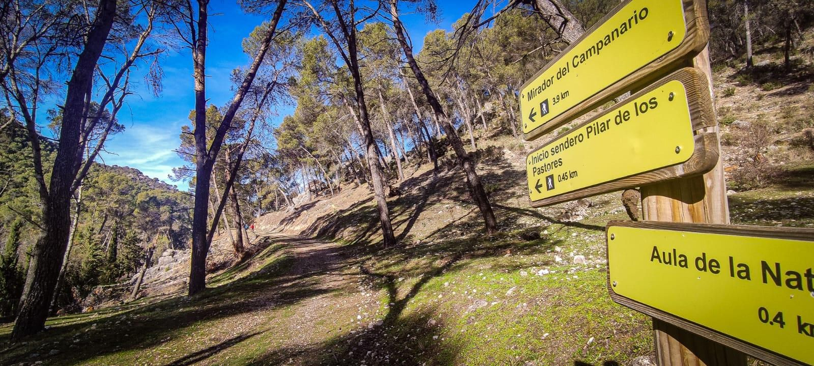 Ruta de senderismo con vistas a Sierra Nevada y la Sierra Sur: subida a la cumbre de Puerto Alto desde la Cañada de las Hazadillas