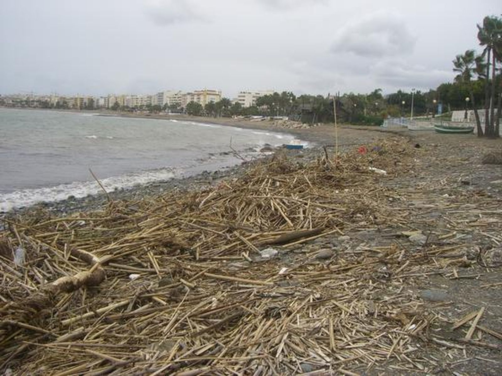Suciedad en una playa de Estepona. / Encarna Jerez
