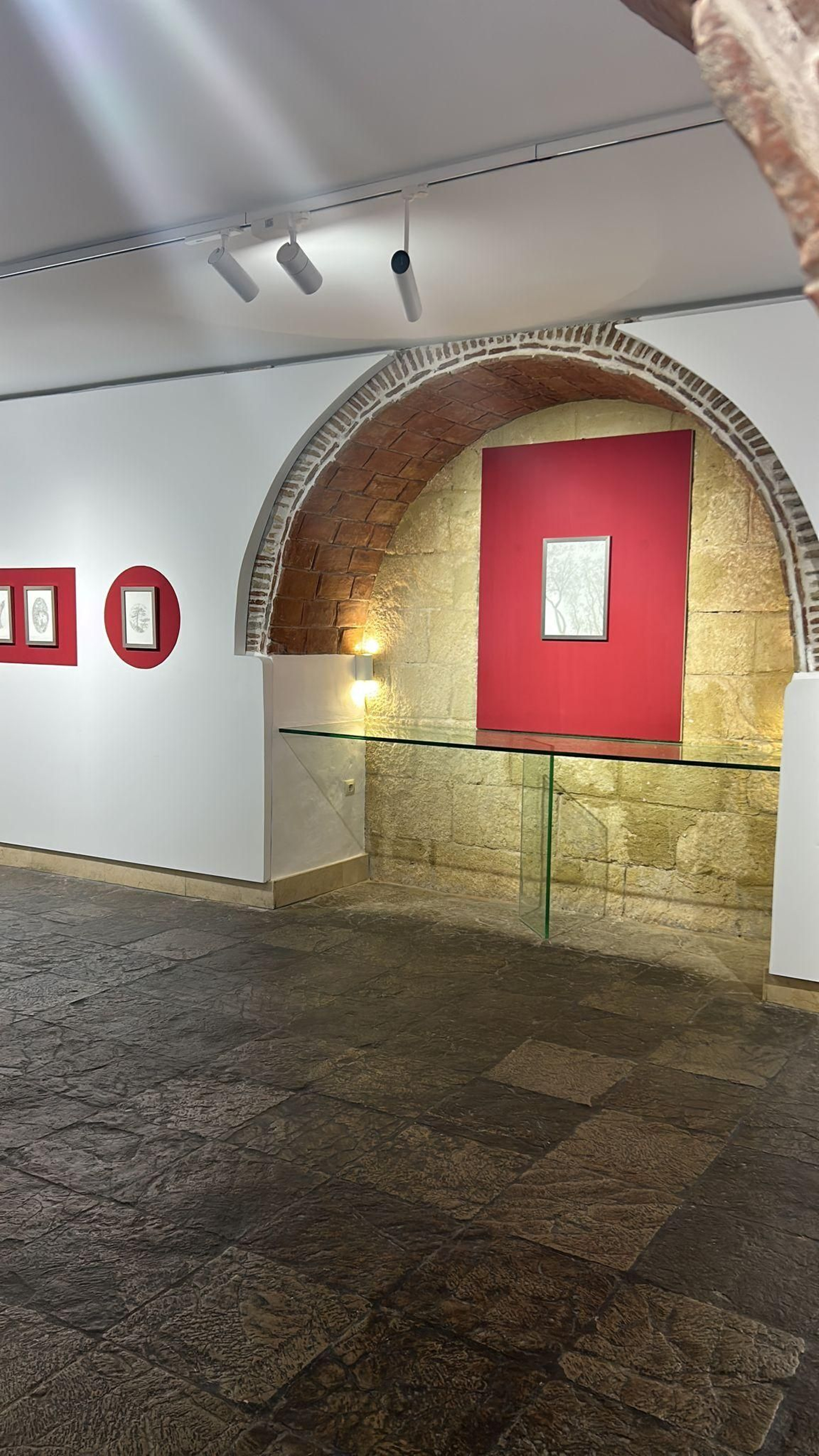 Exposición de Javier Velasco. Exposición de Javier Velasco.