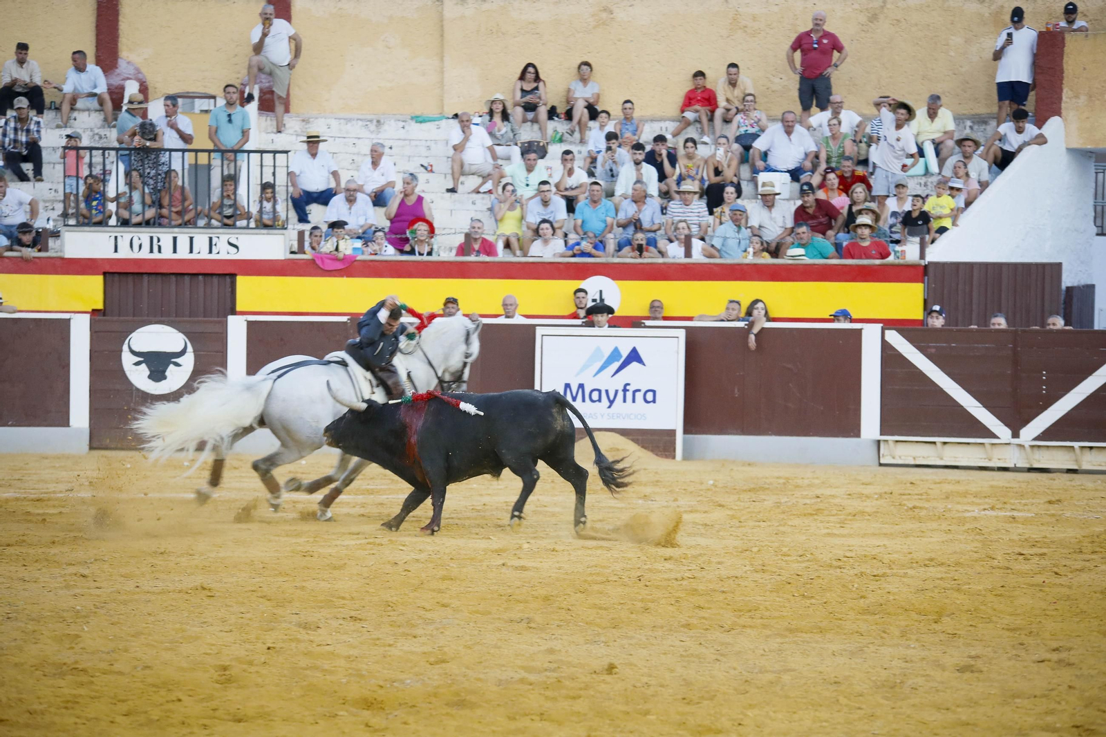 Corrida de toros Berja con un toro indultado, en imágenes