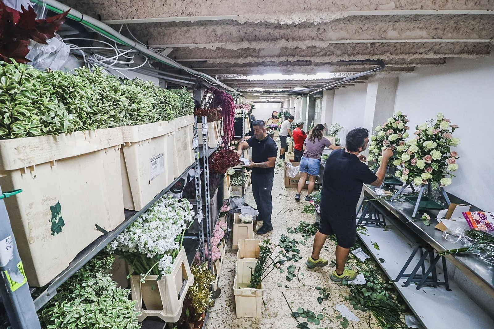 Imágenes de los preparativos florales para la Magna Mariana, en el taller de Antonio Rivera