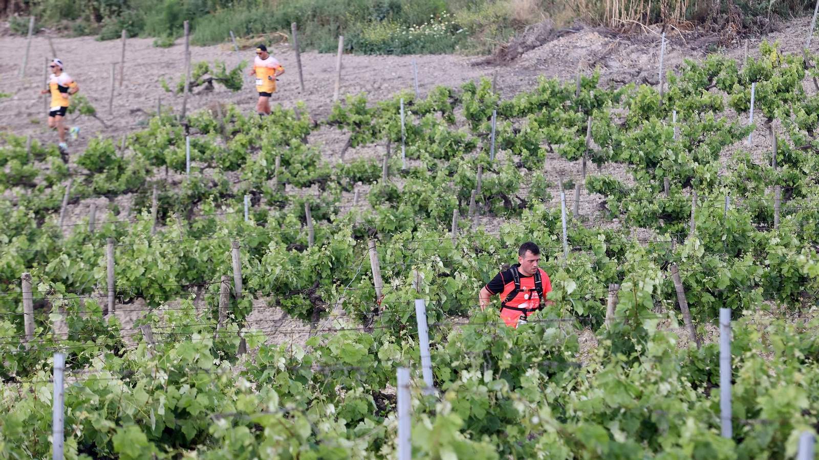 Búscate en la Sherry Maratón 2025 de Jerez (I)