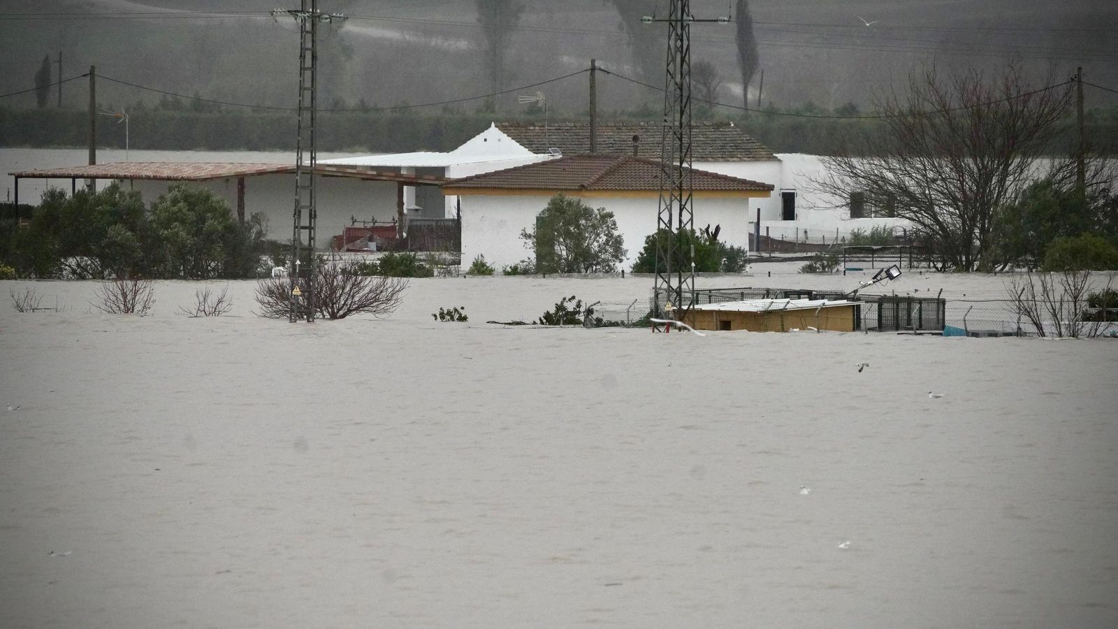 Aspecto que presentaba este jueves Las Pachecas.