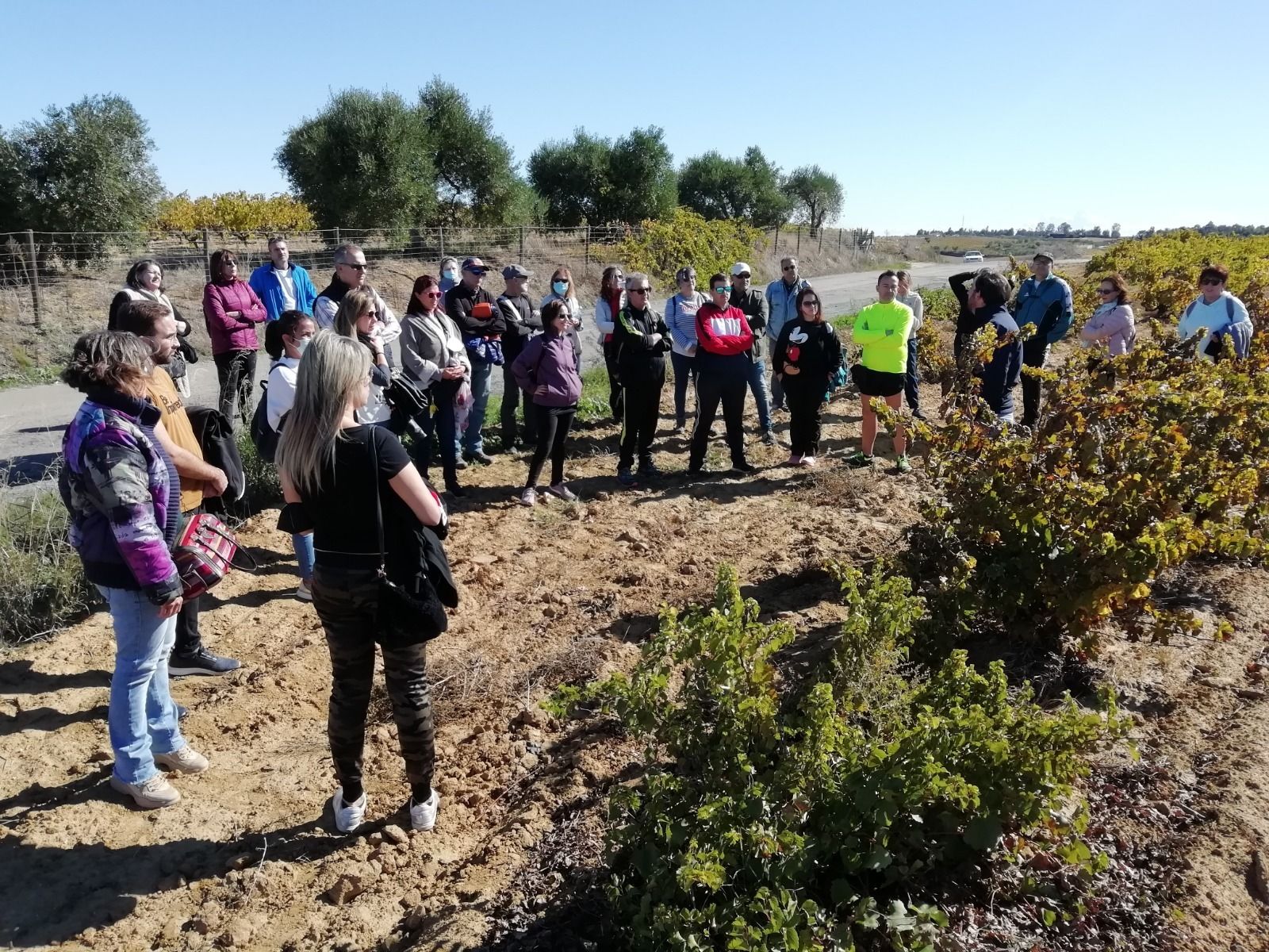 Jornadas de Enoturismo en La Palma del Condado