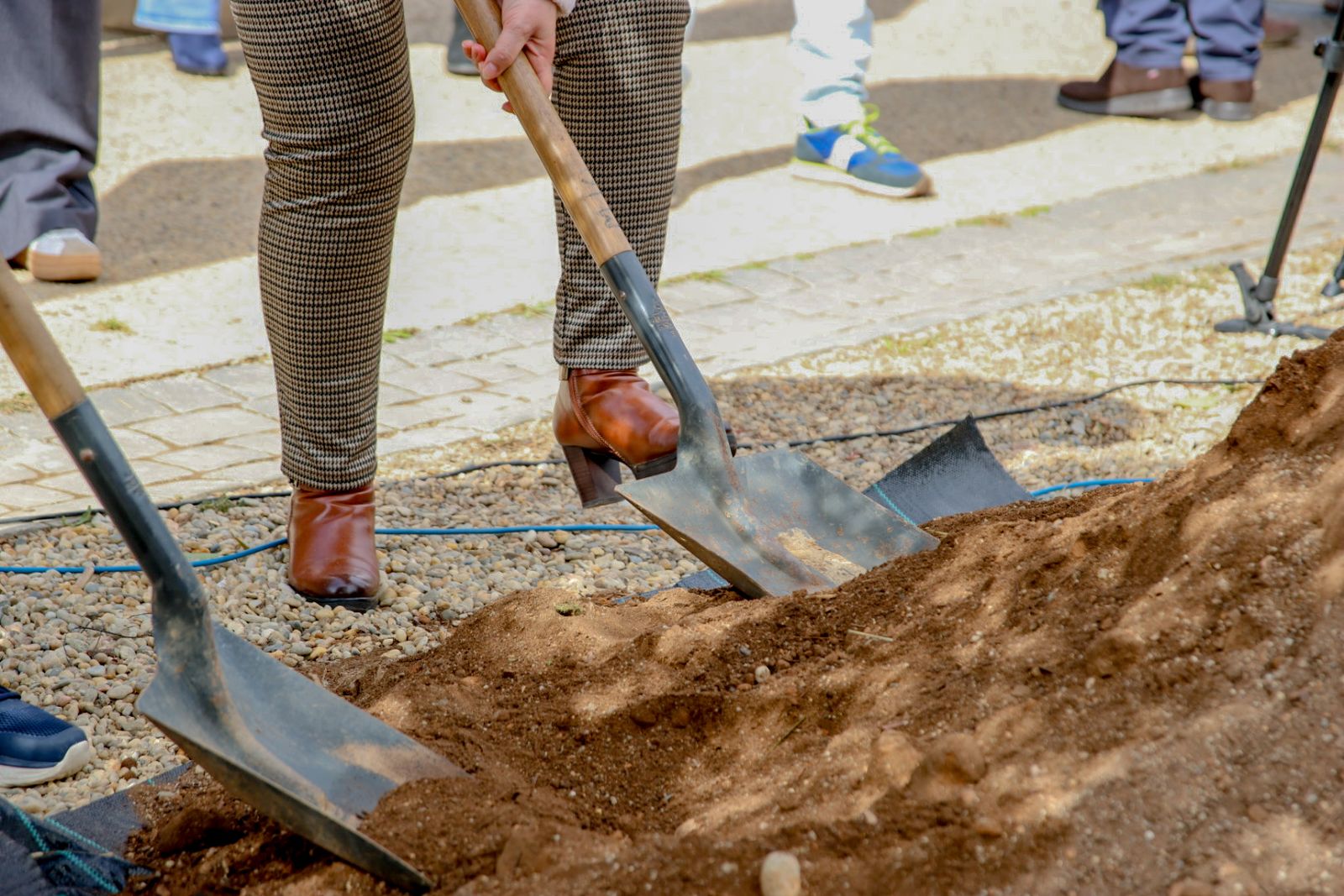 Las imágenes de la plantación de un olivo y el entierro de una cápsula del tiempo