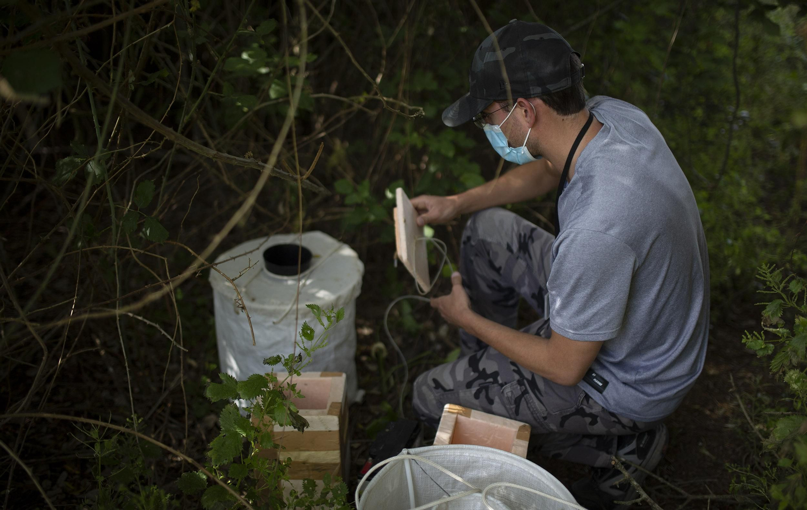 Un técnico recoge muestras de mosquitos en una de las trampas instaladas en la comunidad andaluza.