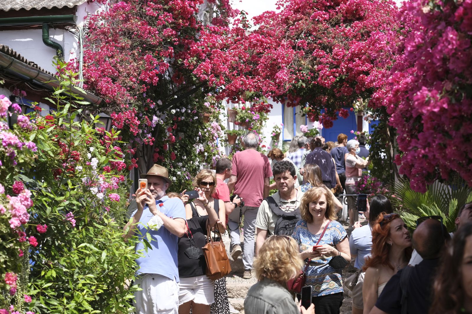 El último día del Festival de los Patios de Córdoba 2022, en imágenes