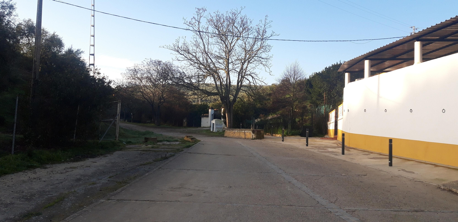 Circular de Las Palomas en La Puebla de los Infantes