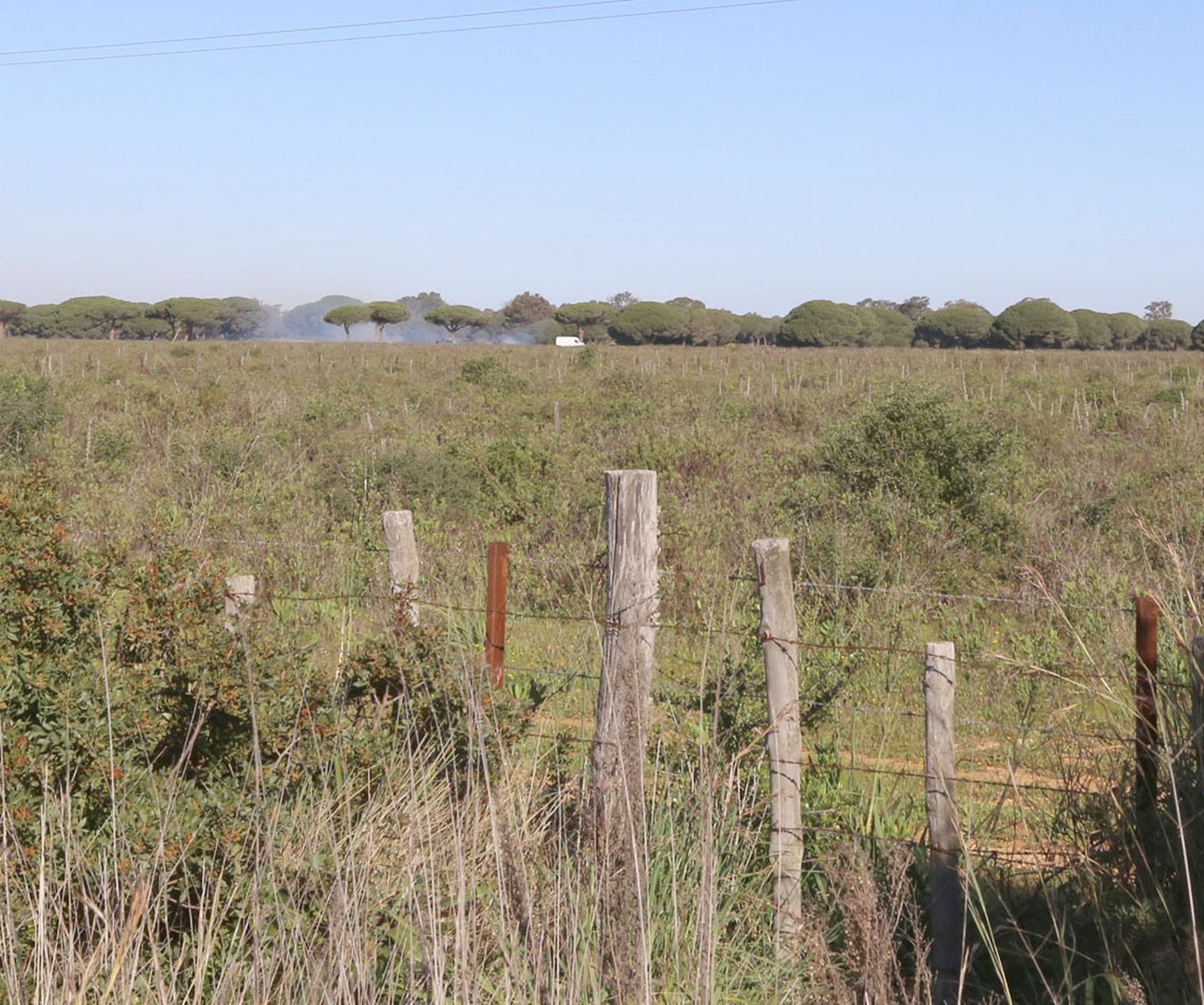 Terrenos en los que estaba previsto celebrar la edición de este año de Alrumbo, en Chiclana.