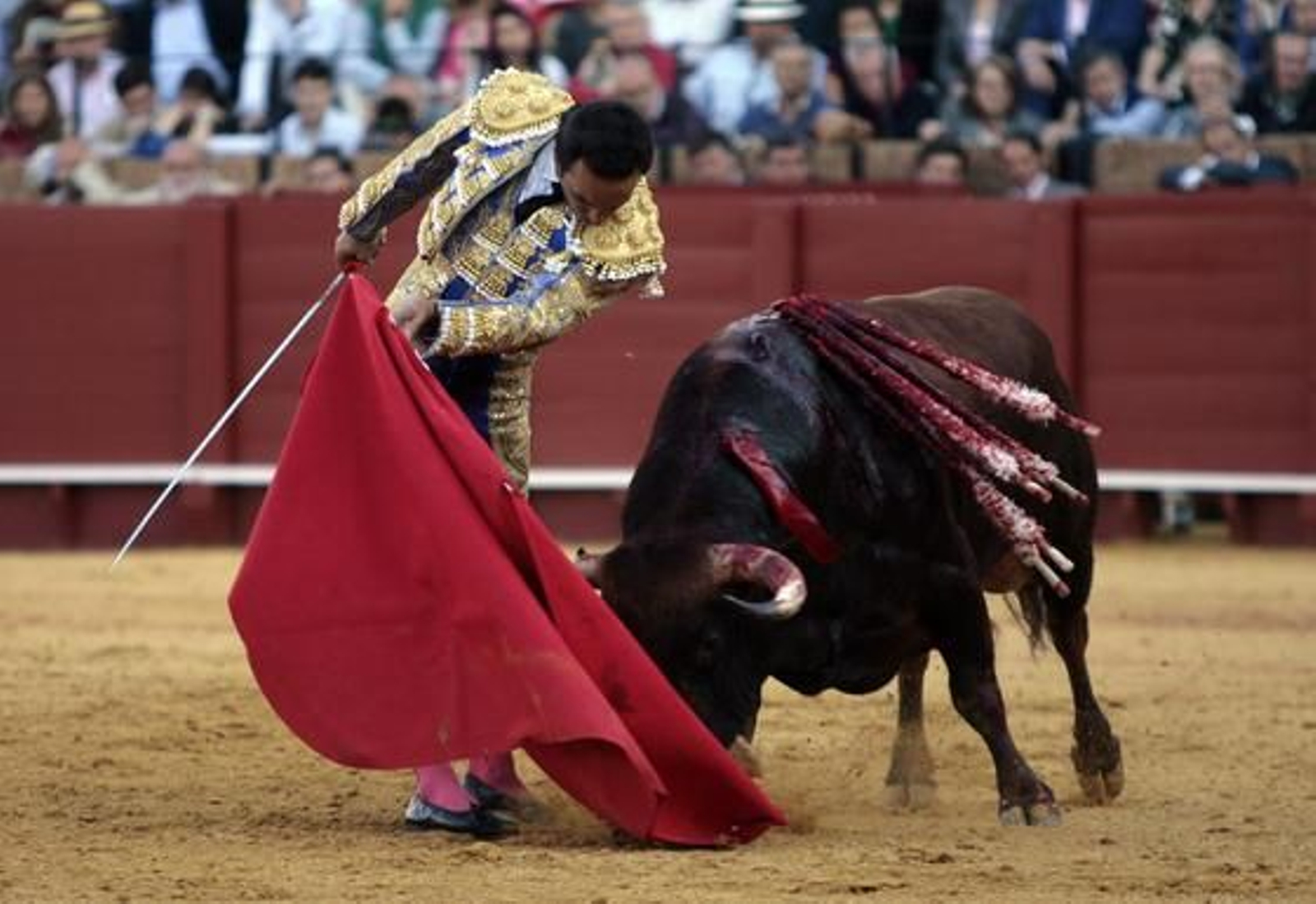 Foto: Juan Carlos Muñoz