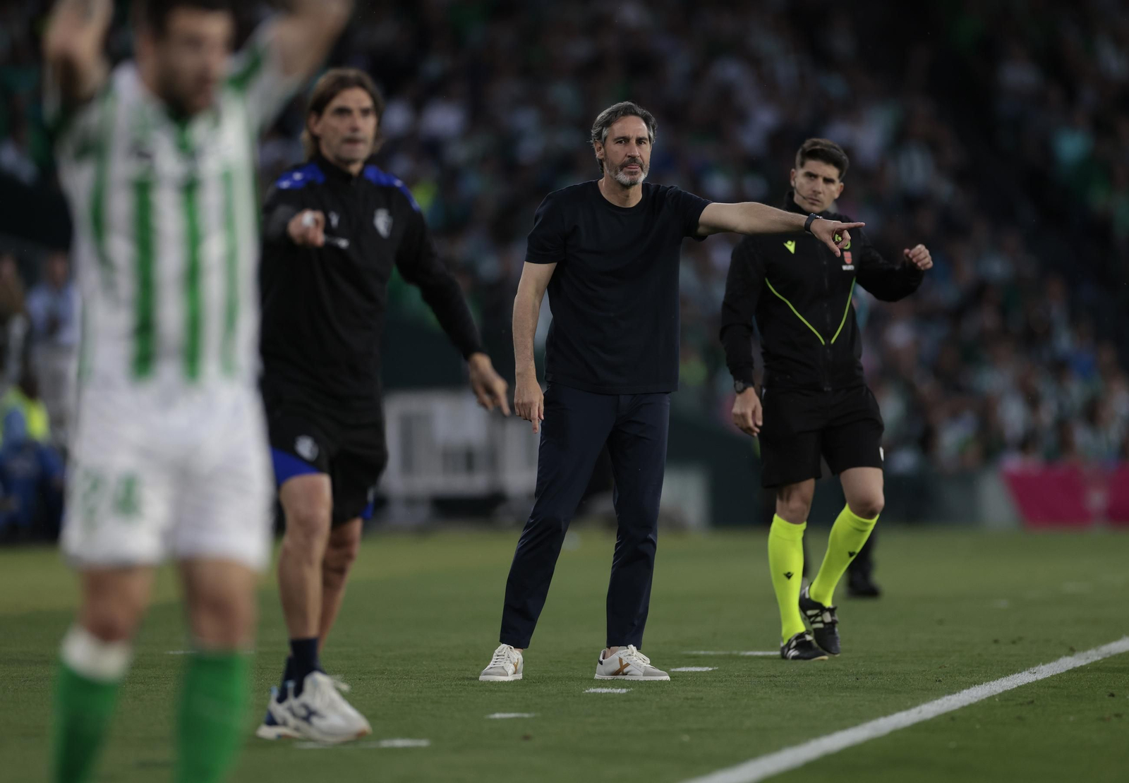 Las fotos del Betis - Osasuna