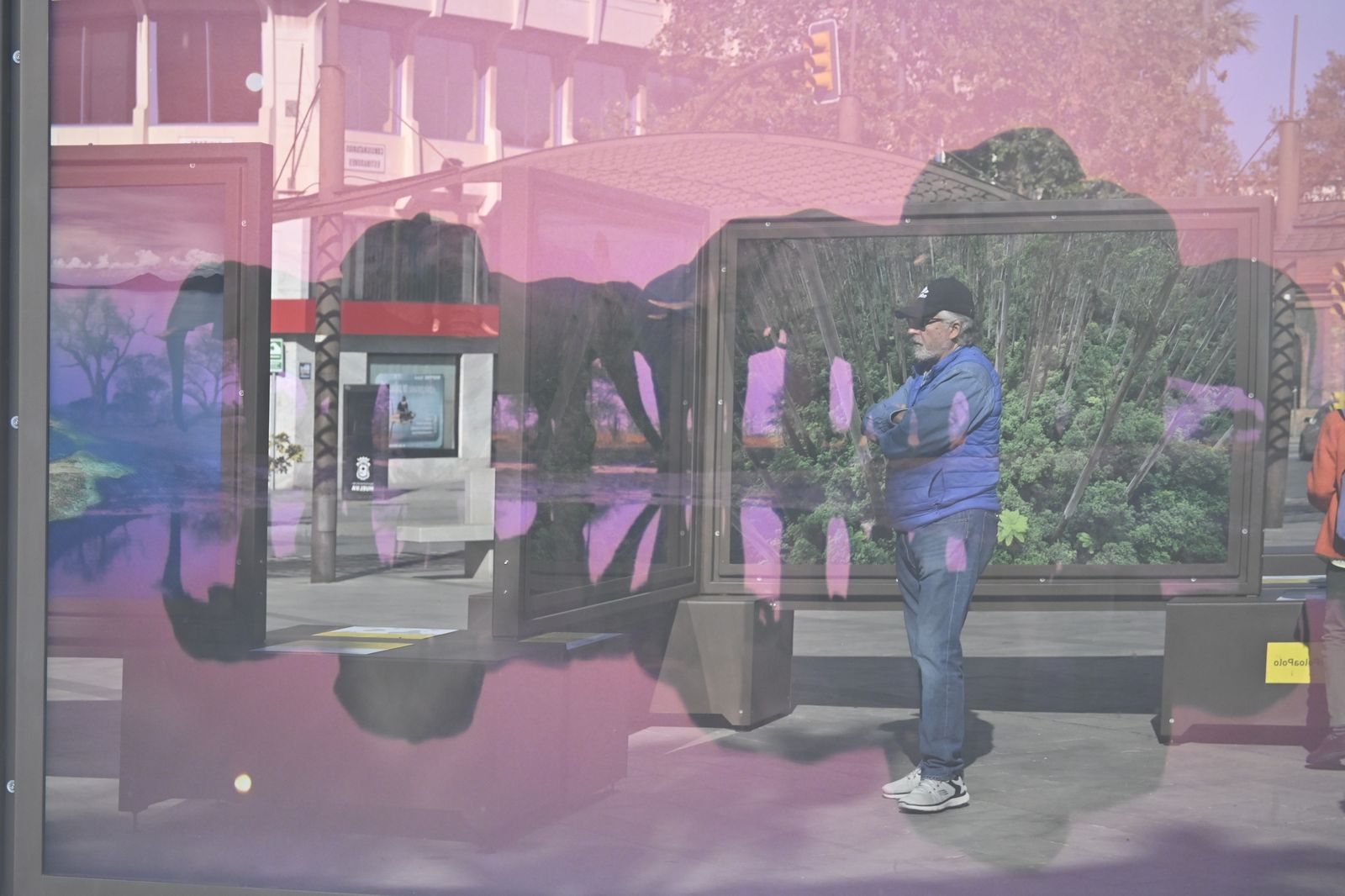 Exposición fotográfica `De Polo a Polo´ en imágenes