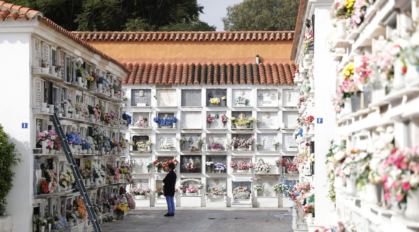 Fotos del Día de Todos Los Santos en el cementerio de La Línea