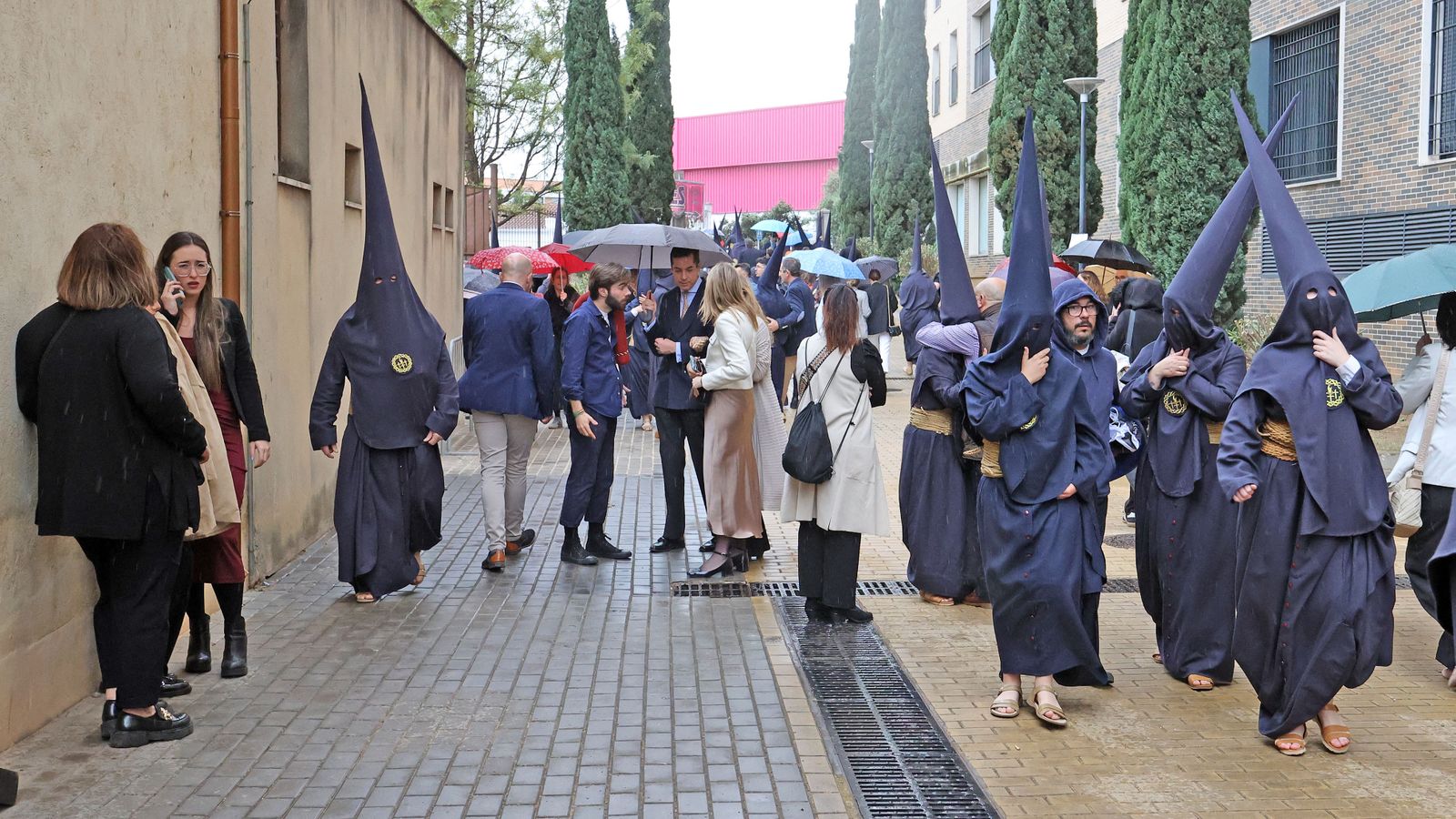 Domingo de Ramos: Hermandad del Perdón