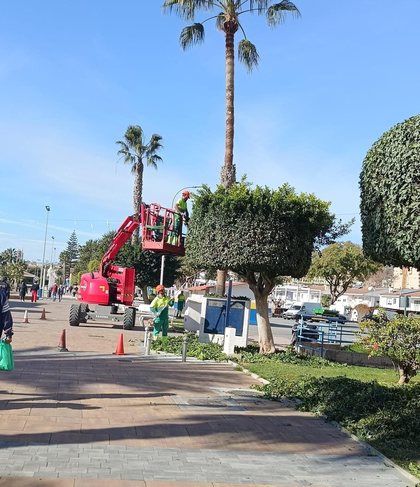 Varios empleados de UTE Rincón Victoria podando un árbol en el paseo marítimo de La Cala del Moral Varios empleados de UTE Rincón Victoria podando un árbol en el paseo marítimo de La Cala del Moral