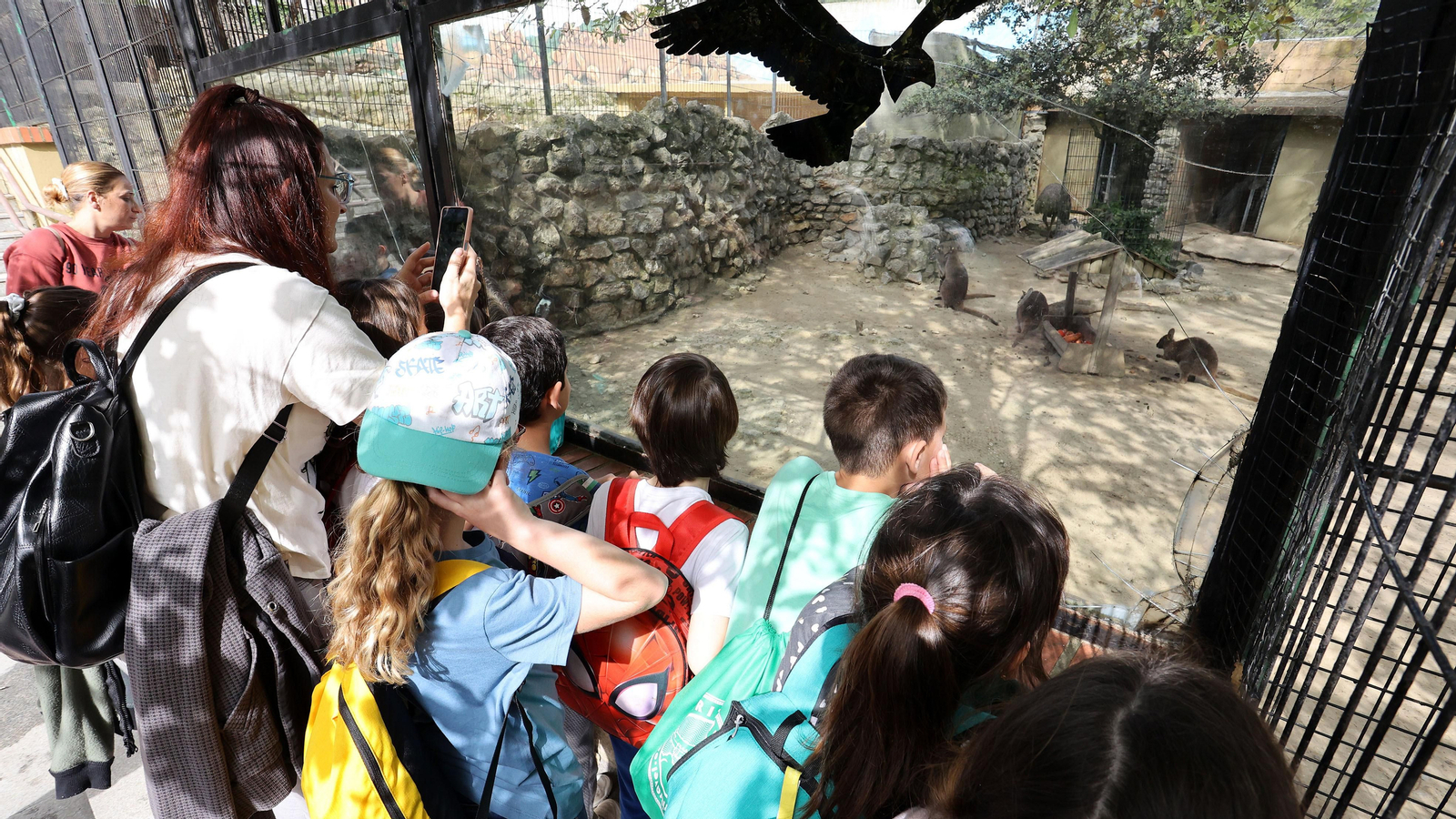 Día Mundial del Agua de Aquajerez y aniversario de Diario de Jerez en el Zoo