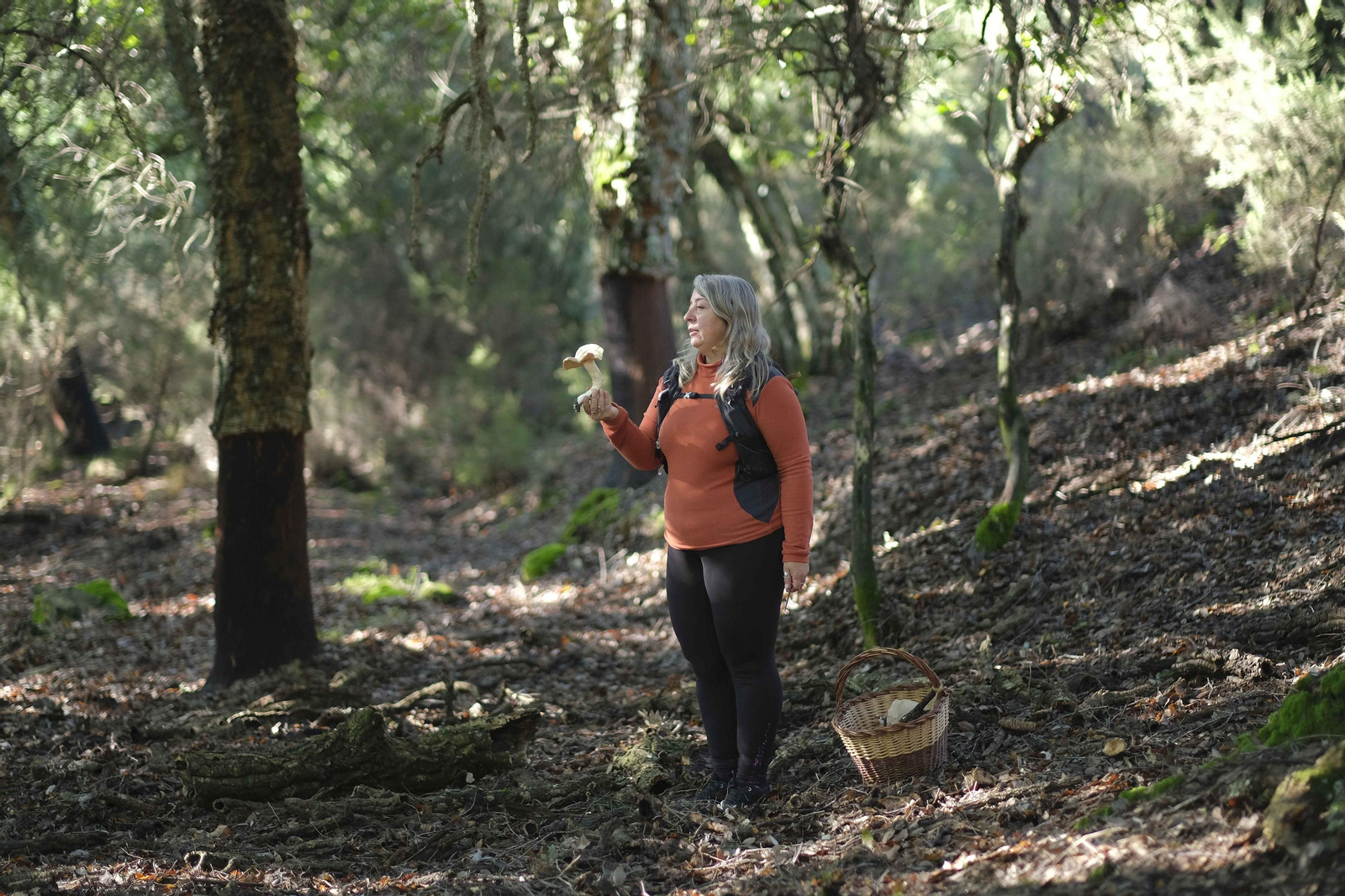 Mocología de la Serranía de Ronda, en fotos.