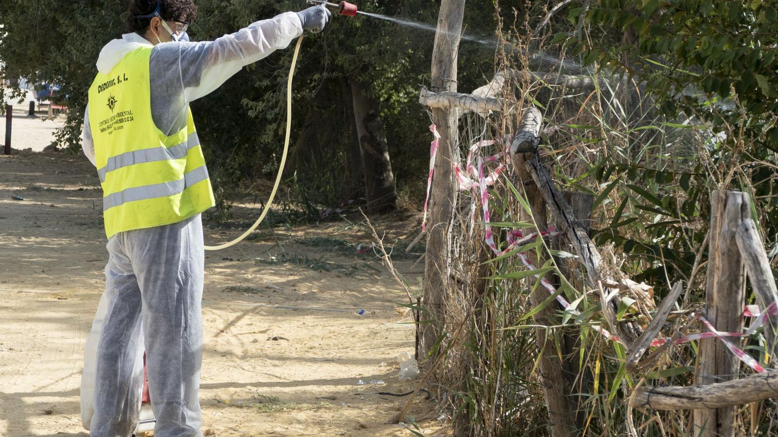 Labores de fumigación en la Puebla del Río.