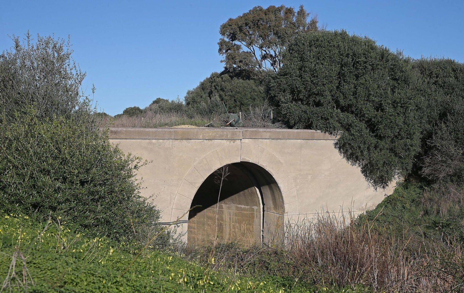 Fotos de Sierra Carbonera en La Línea