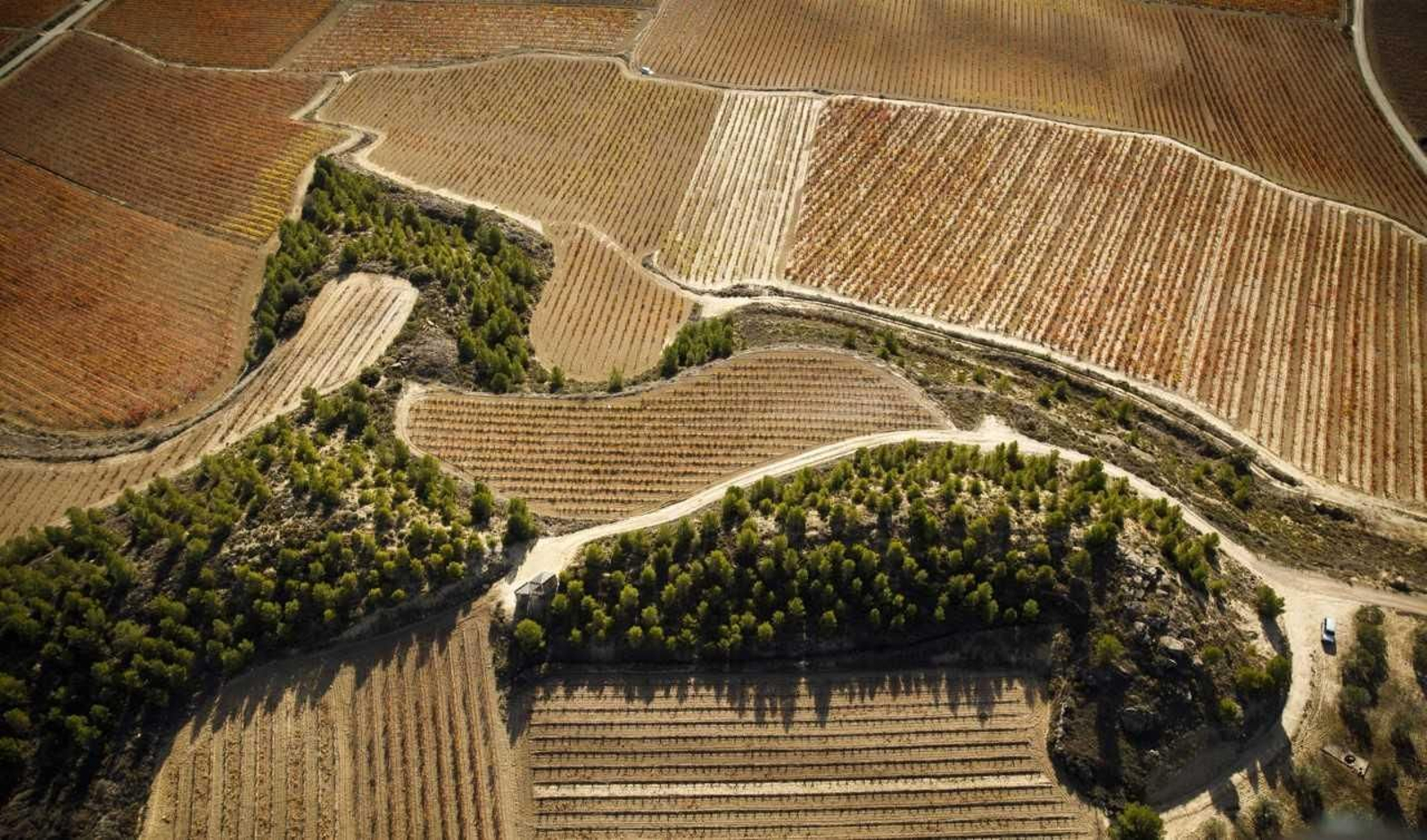 Rioja: La máxima calidad como meta