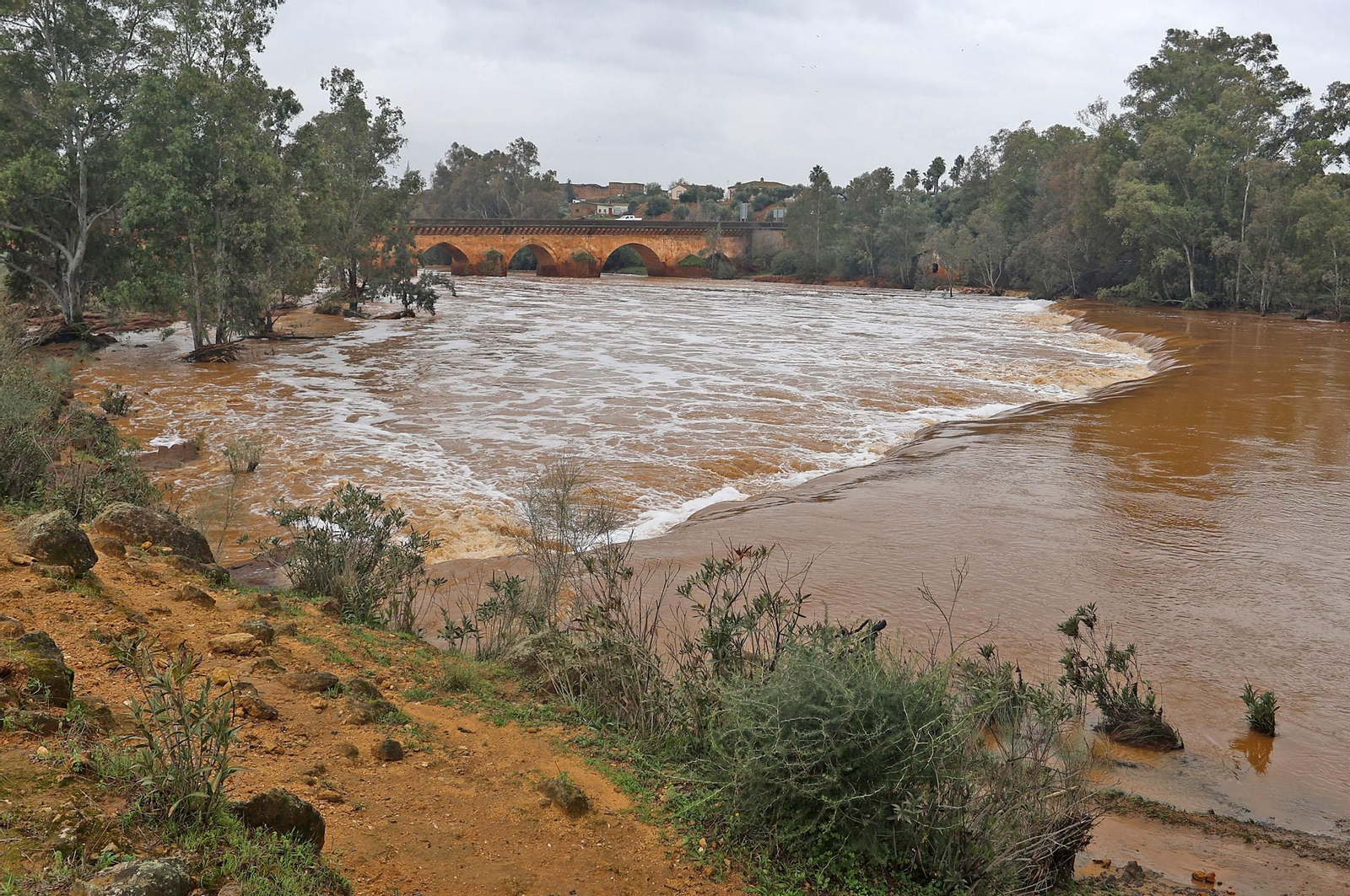 Imágenes del río Tinto a su paso por Niebla tras la borrasca Garoé