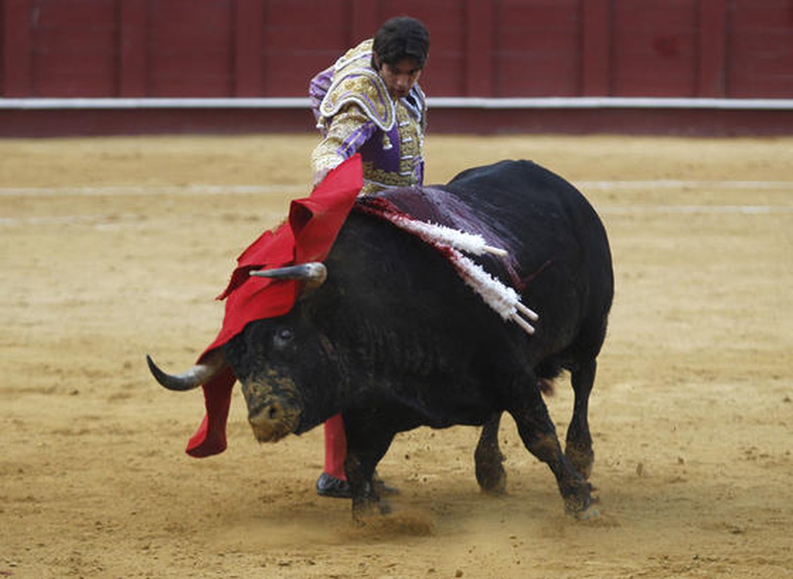 Foto: Sergio Camacho