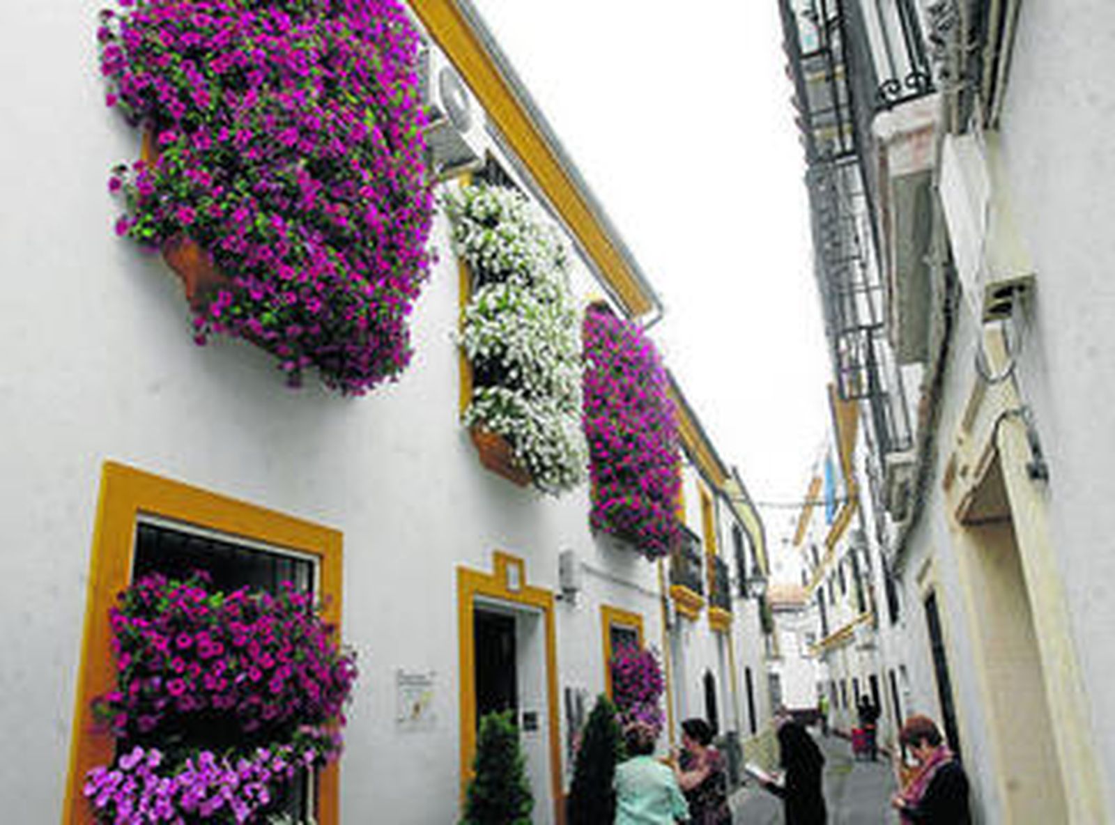 Rejas y balcones del 25 de la calle Isabel II.