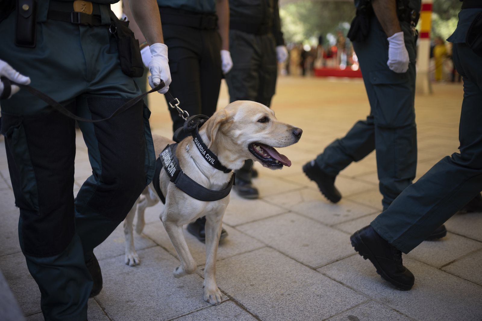 Imágenes de los actos de celebración de la festividad de la patrona de la Guardia Civil, la Virgen del Pilar.
