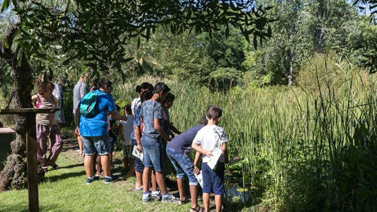 Entre las actividades del Día Mundial del Medio Ambiente, jornadas de puertas abiertas, del  31 de mayo al 2 de junio, en el Jardín Botánico El Arboreto .