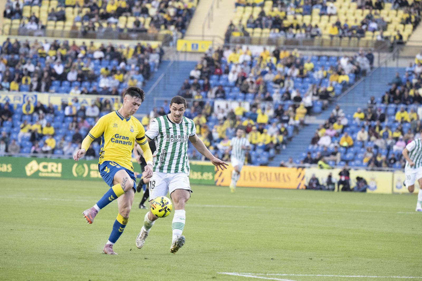 Las mejores fotos del triunfo del Córdoba CF ante Las Palmas