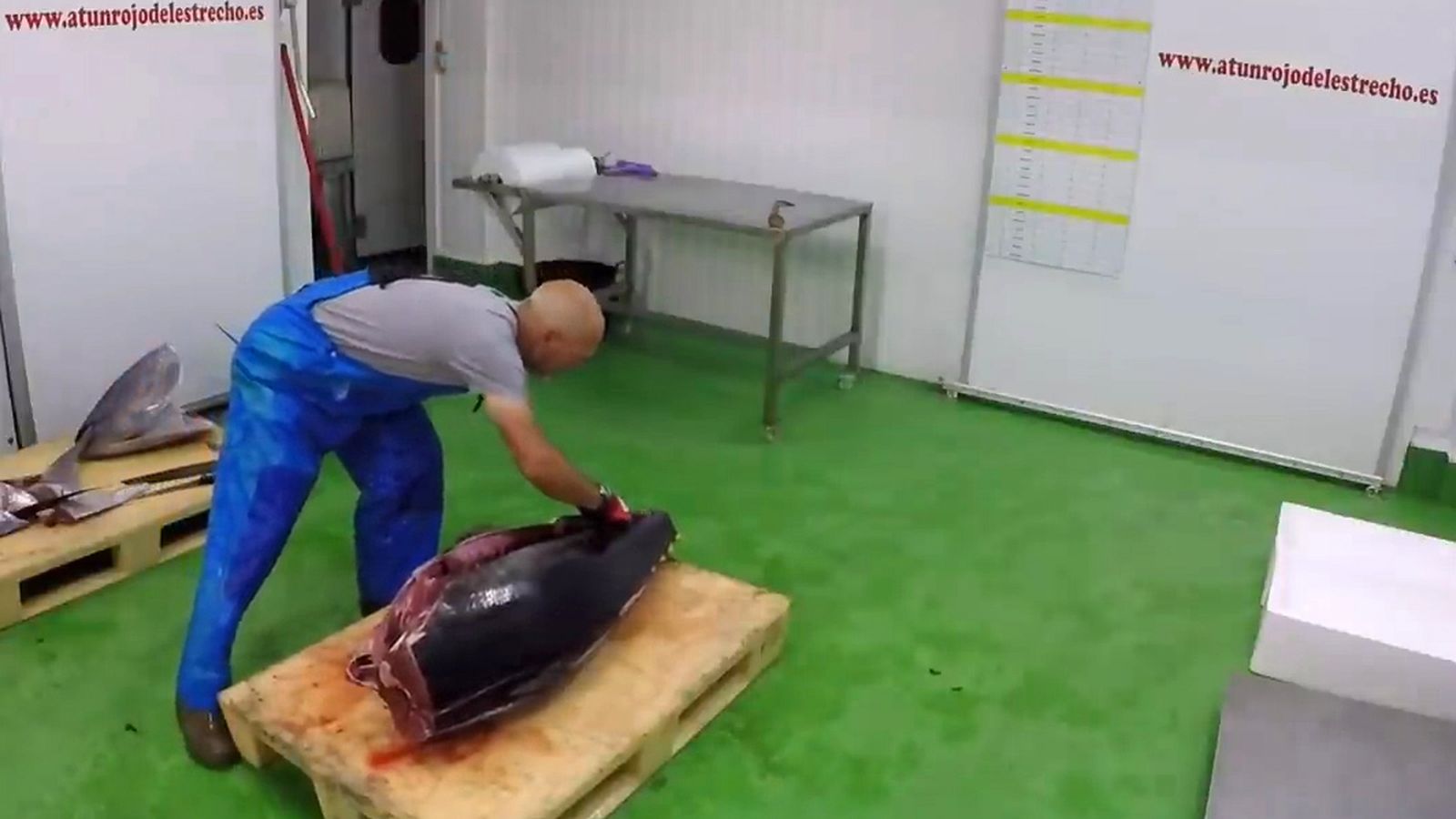 El ronqueo es el último paso de una intensa jornada de pesca