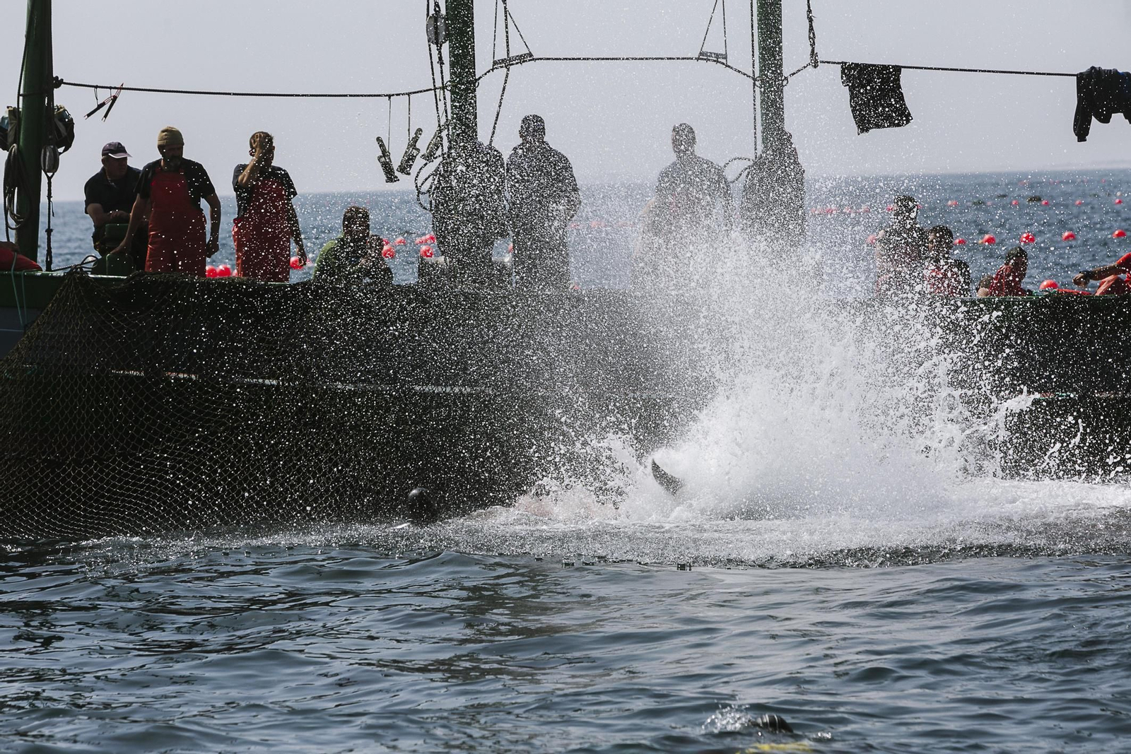 Imágenes de la primera levantá del año