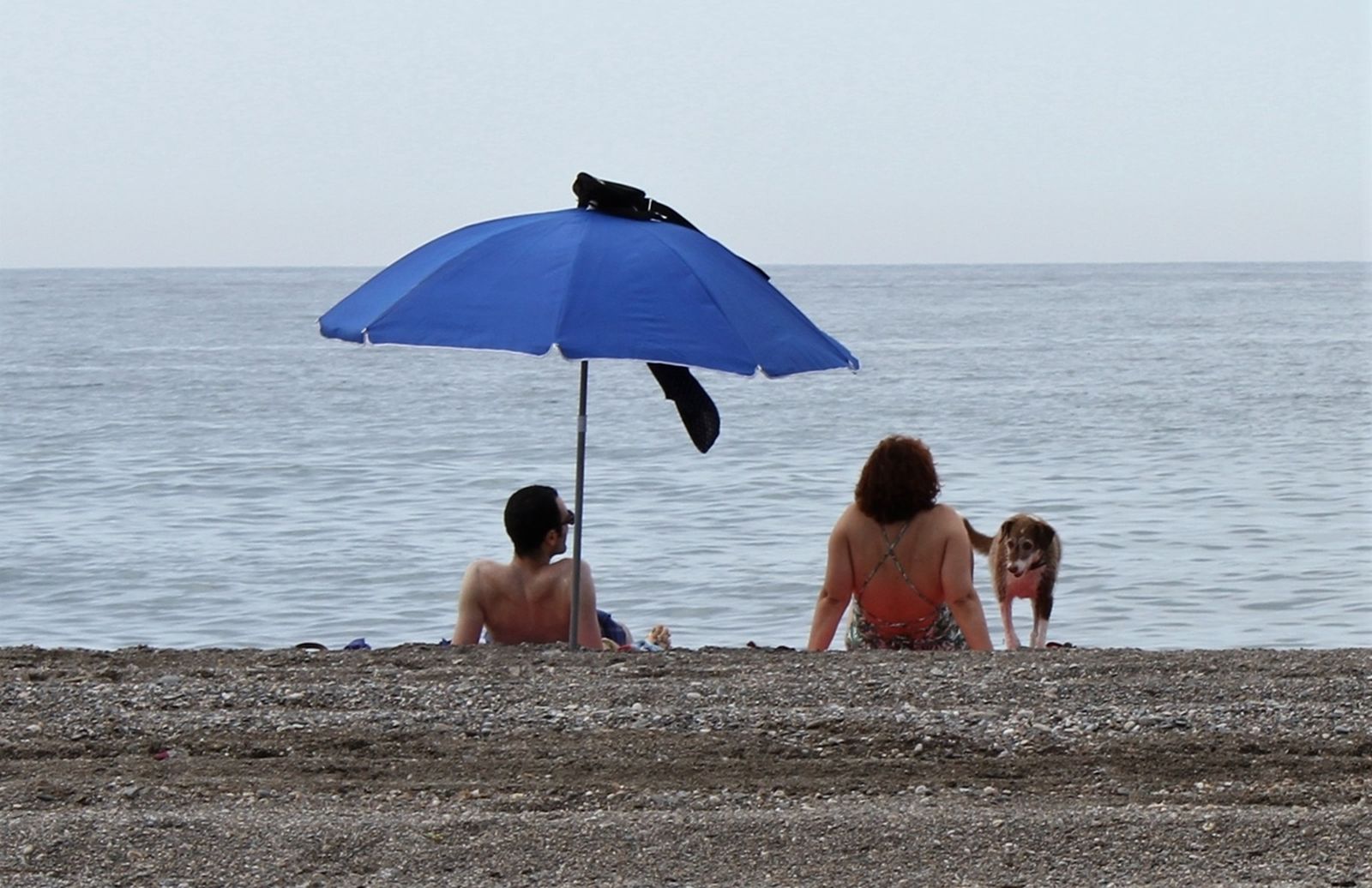 Una pareja junto a su perro en una playa