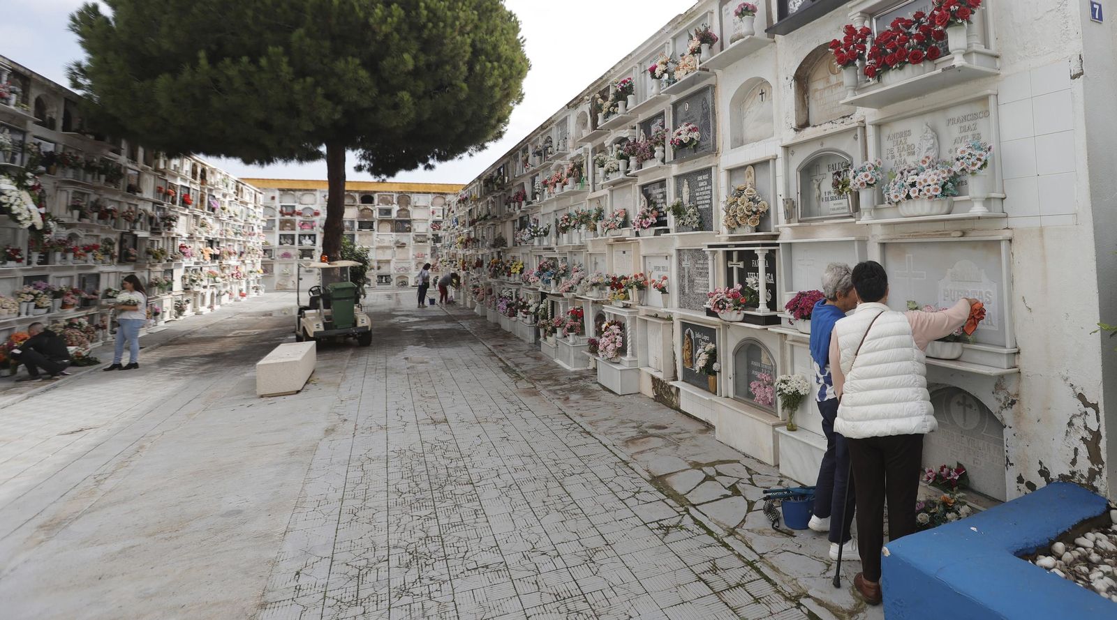 Fotos del Día de Todos Los Santos en el cementerio de La Línea