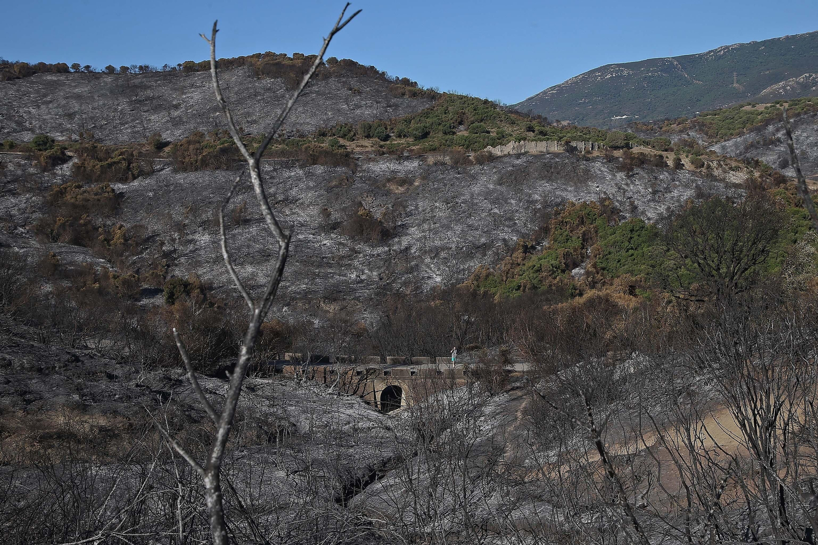 El impacto del incendio forestal de Algeciras, en imágenes