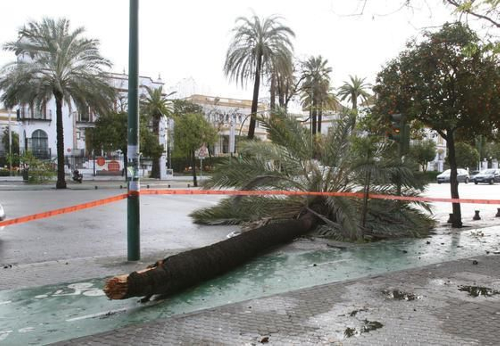 Foto: José Ángel García