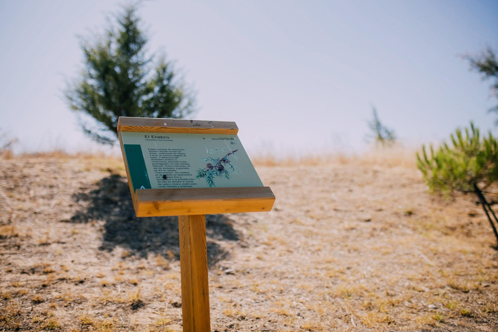Un recorrido fotográfico por el Paraje Natural Marismas del Odiel