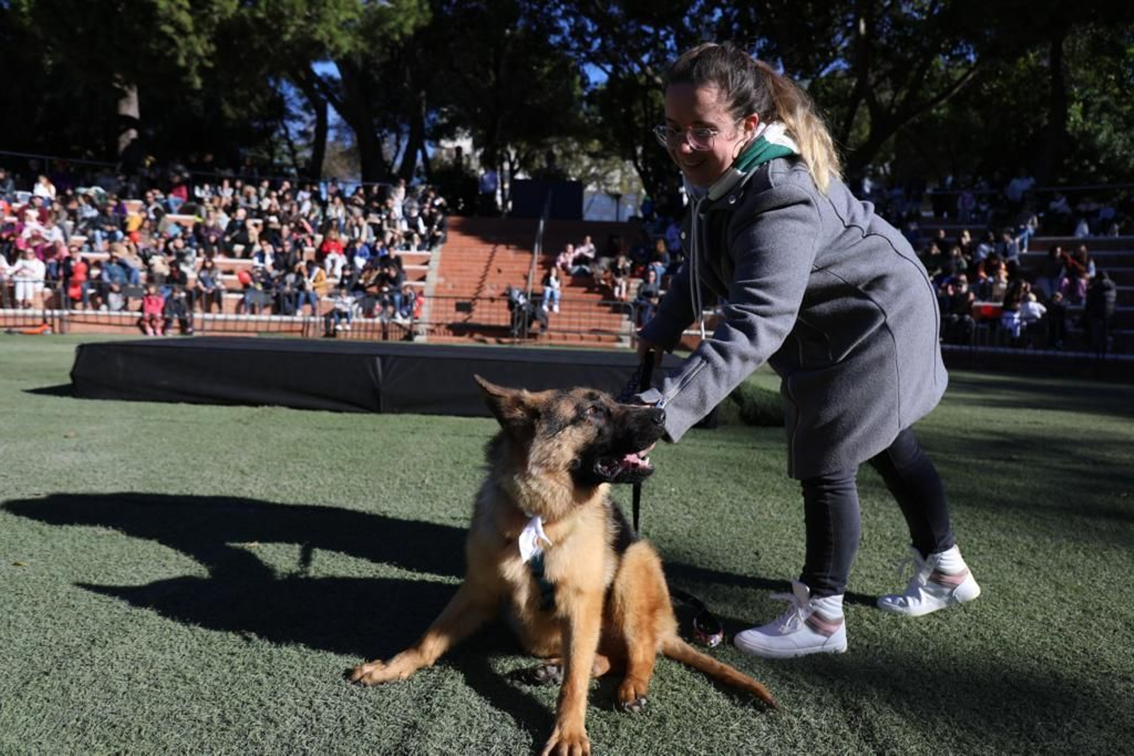 Así ha sido la celebración de San Antón en San Fernando