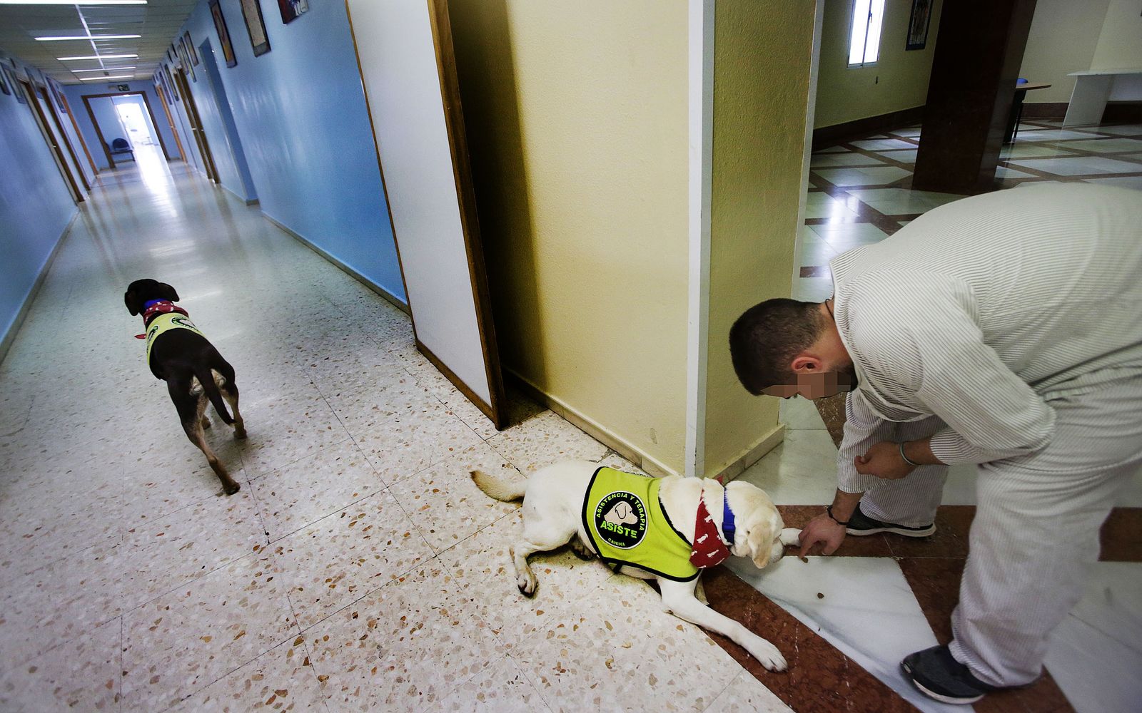 Unidad psiquiátrica del Clinico de Puerto Real