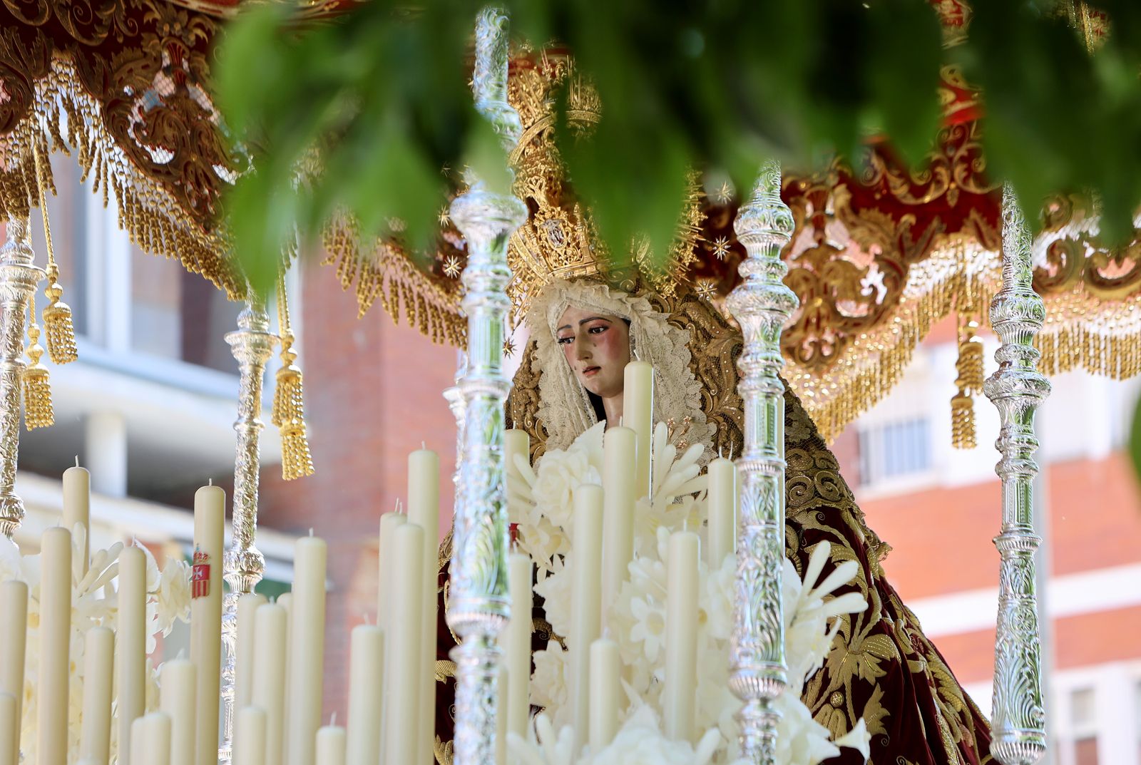 Las mejores imágenes de  Santa Genoveva