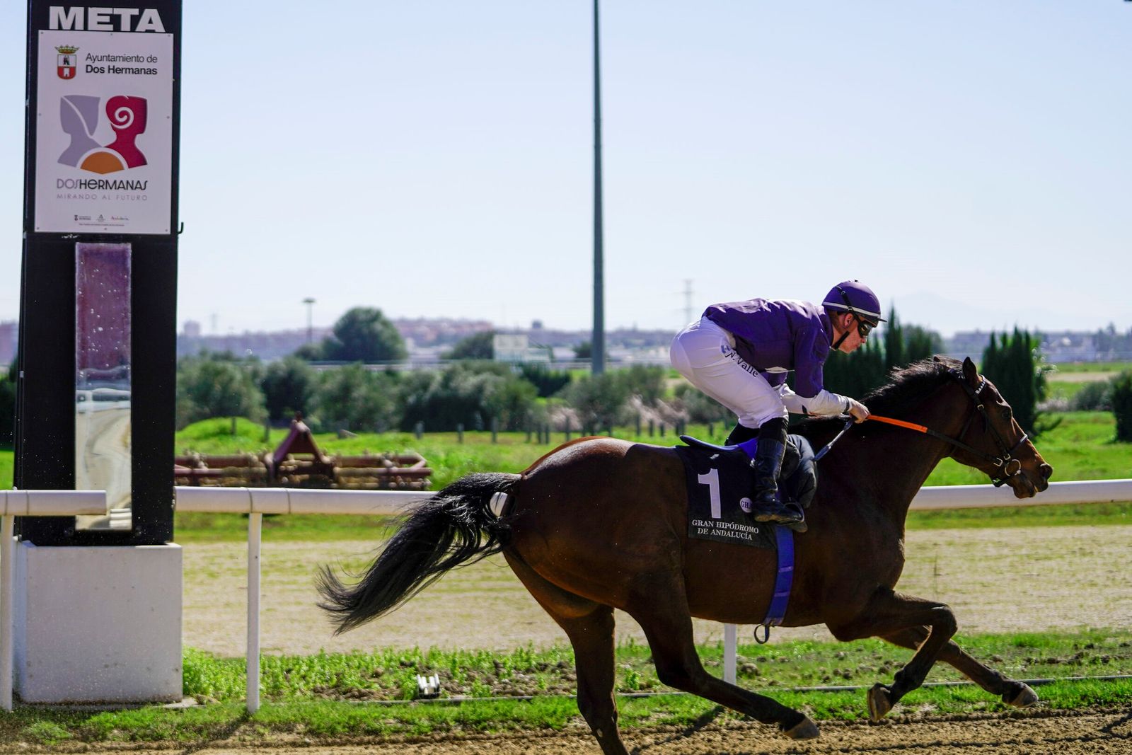 Las fotos del Premio Diario de Sevilla en el hipódromo de Dos Hermanas