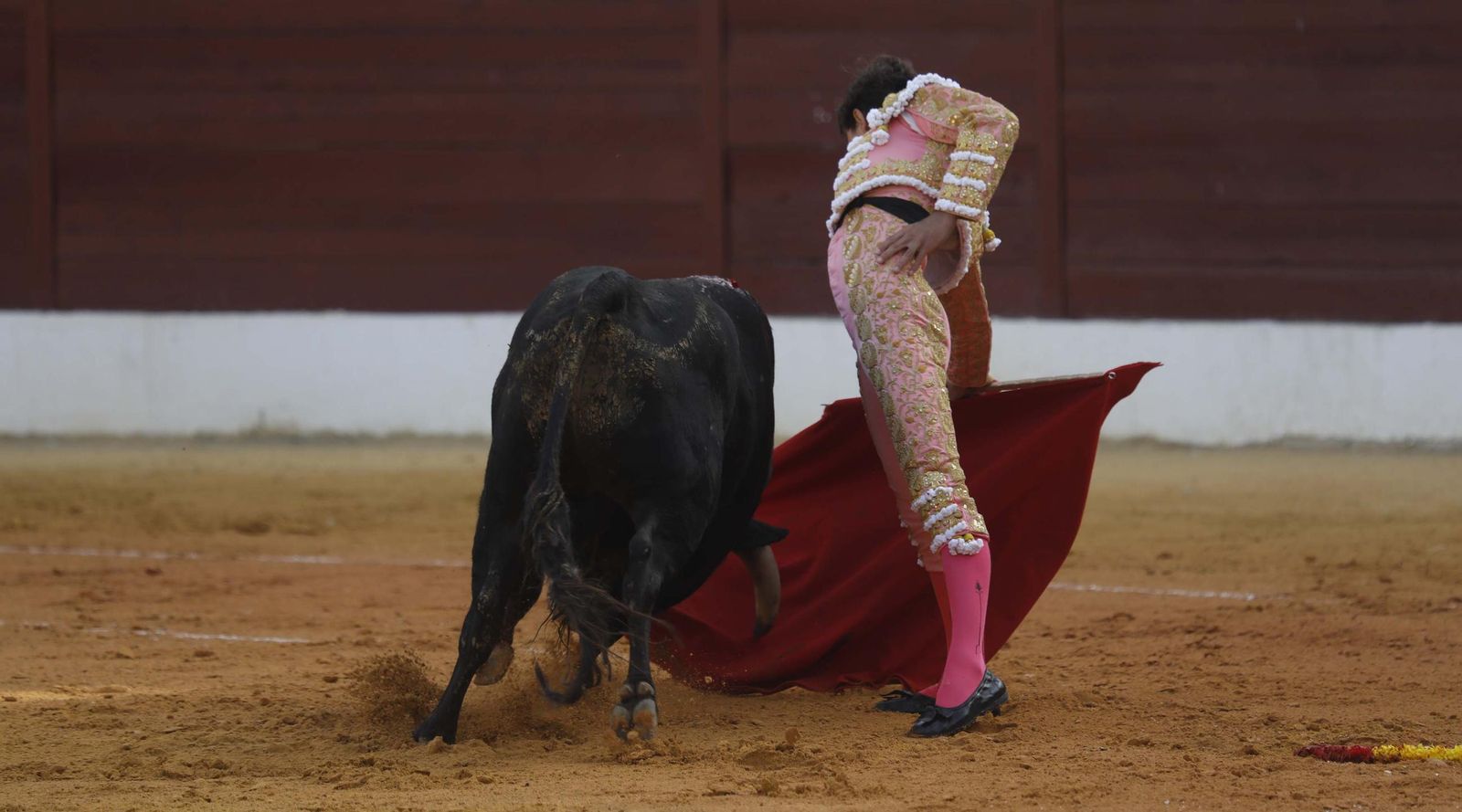 Fotos del triunfo de Manuel Roman y Javier Zulueta con la buena novillada de Núñez de Tarifa que abrió la Feria de La Línea