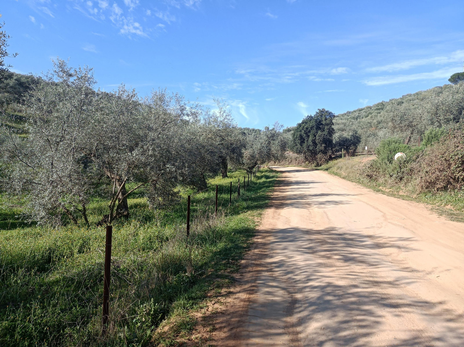 Las fotos de la circular de los Molinos del Ciudadeja