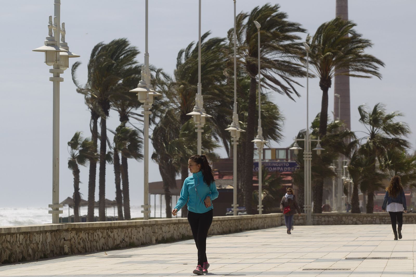 Palmeras agitadas por el viento en el Paseo Marítimo de Málaga capital.