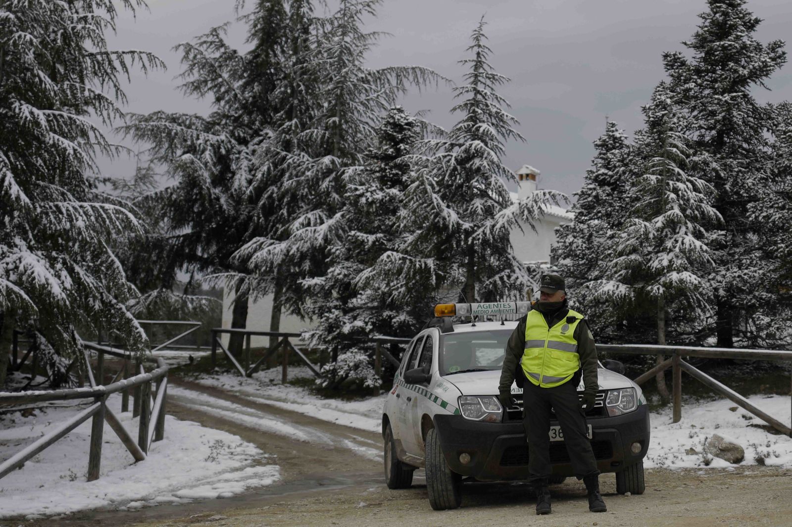 Un agente de Medio Ambiente, ayer, en un paraje completamente nevado.