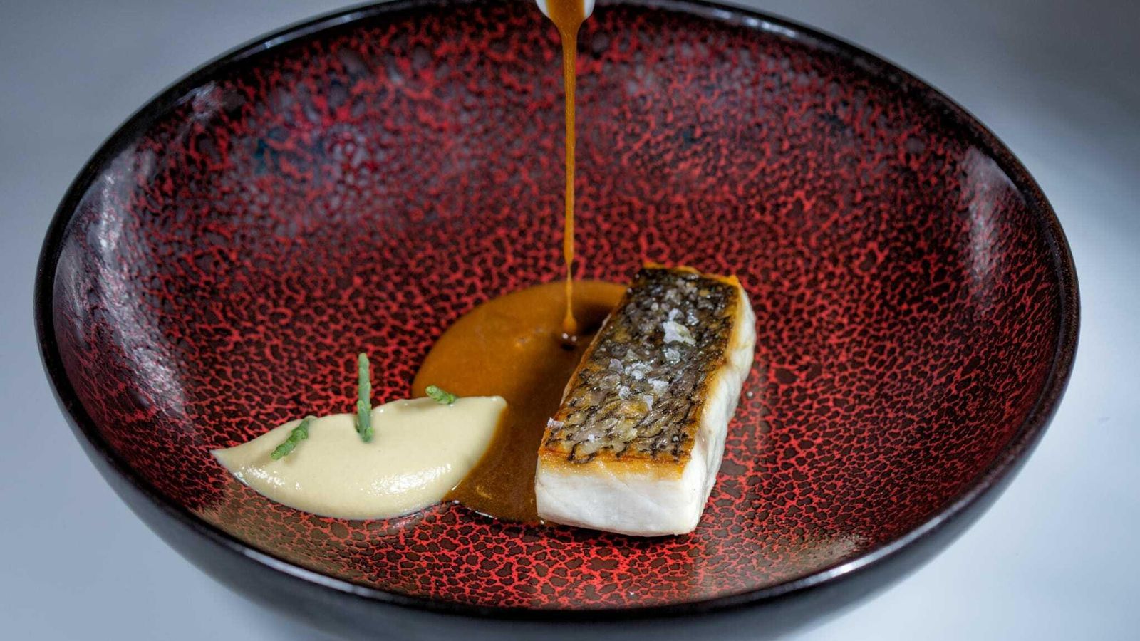 La corvina. La corvina.