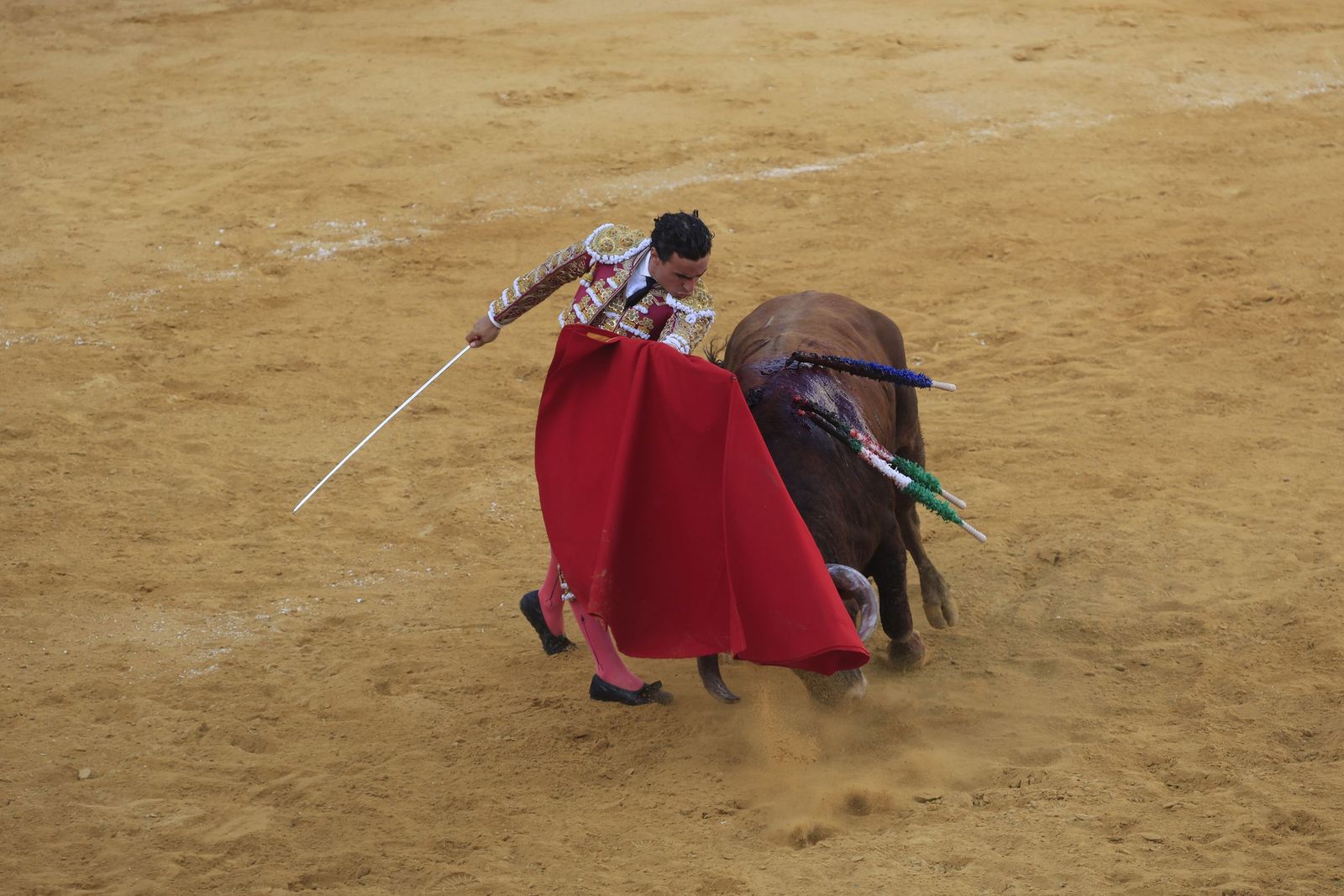 Fotos de la corrida de toros de la Feria de San Roque con David Galván, Román y Joaquín Galdós