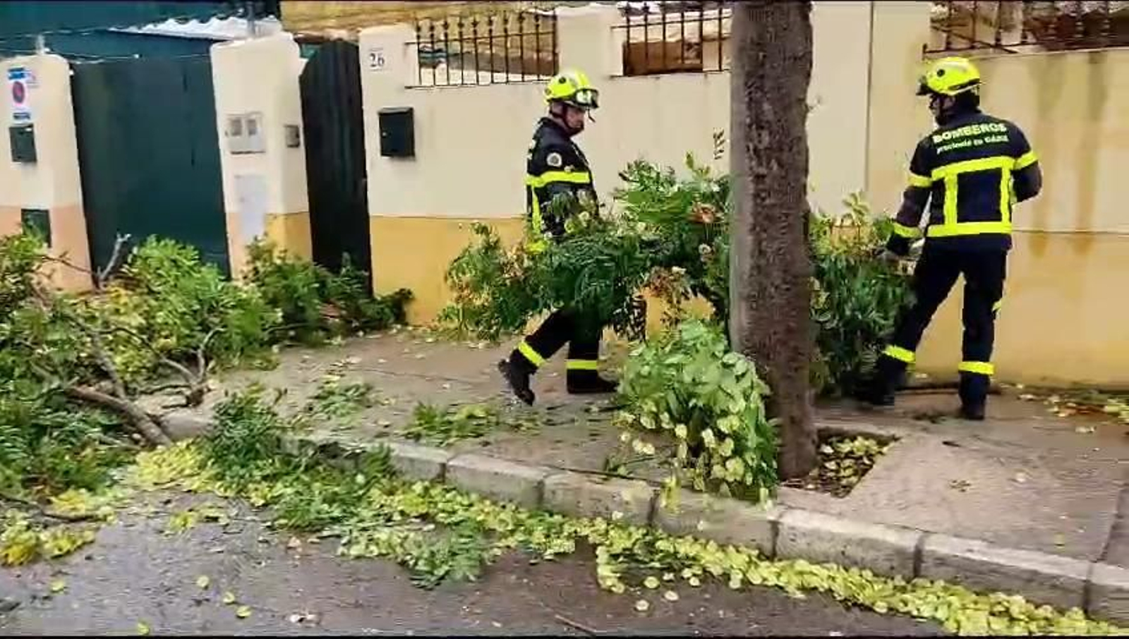 Borrasca 'Aline' en Jerez: Actuación de los bomberos en la calle Danubio.