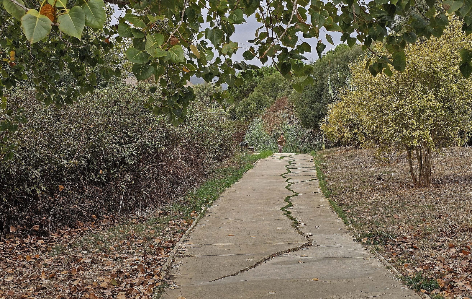 Fotos de los desperfectos en las barriadas de Getares en Algeciras