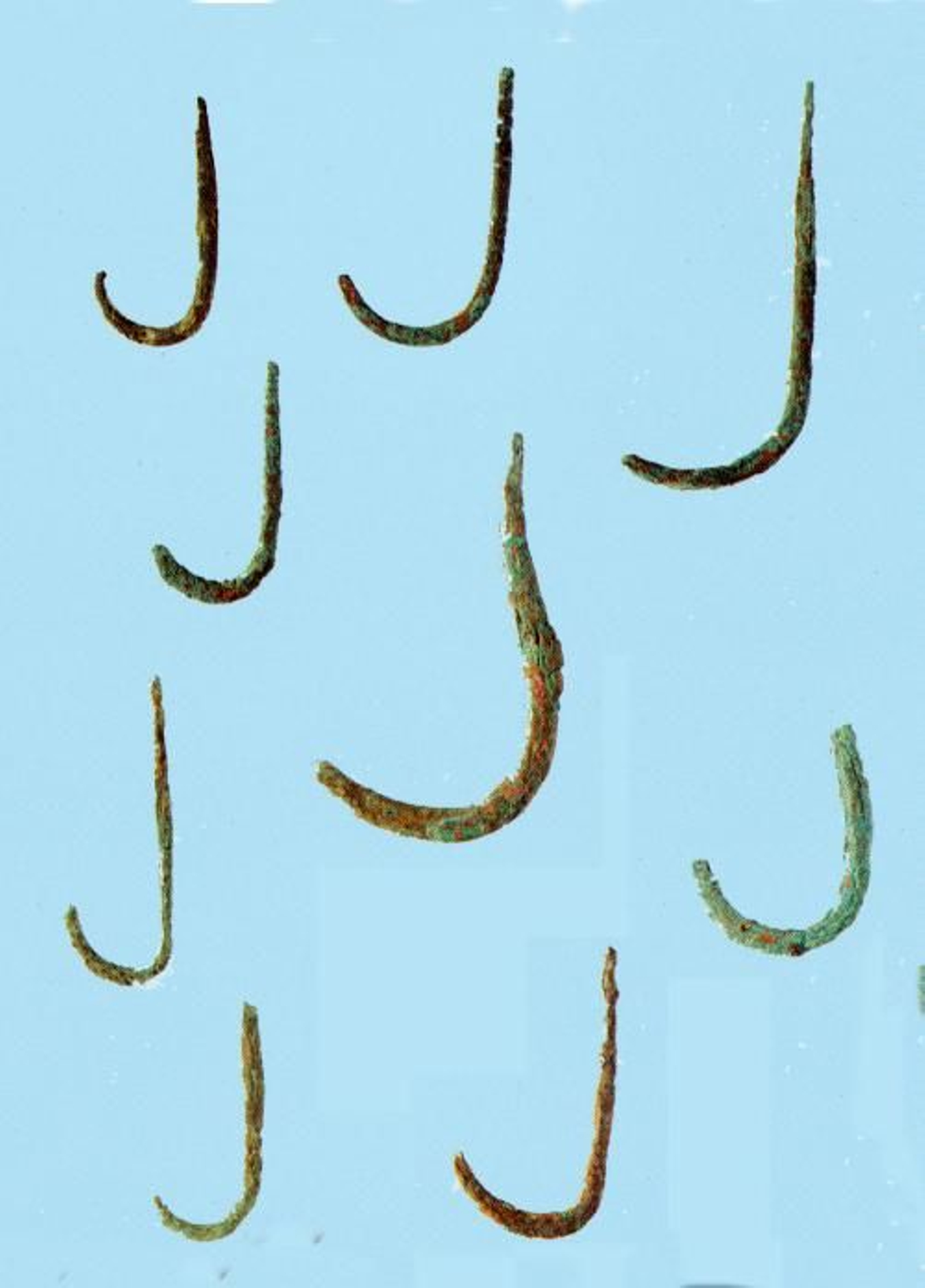 Anzuelos recuperados en el yacimiento fenicio del Cerro del Prado (Museo de Cádiz).